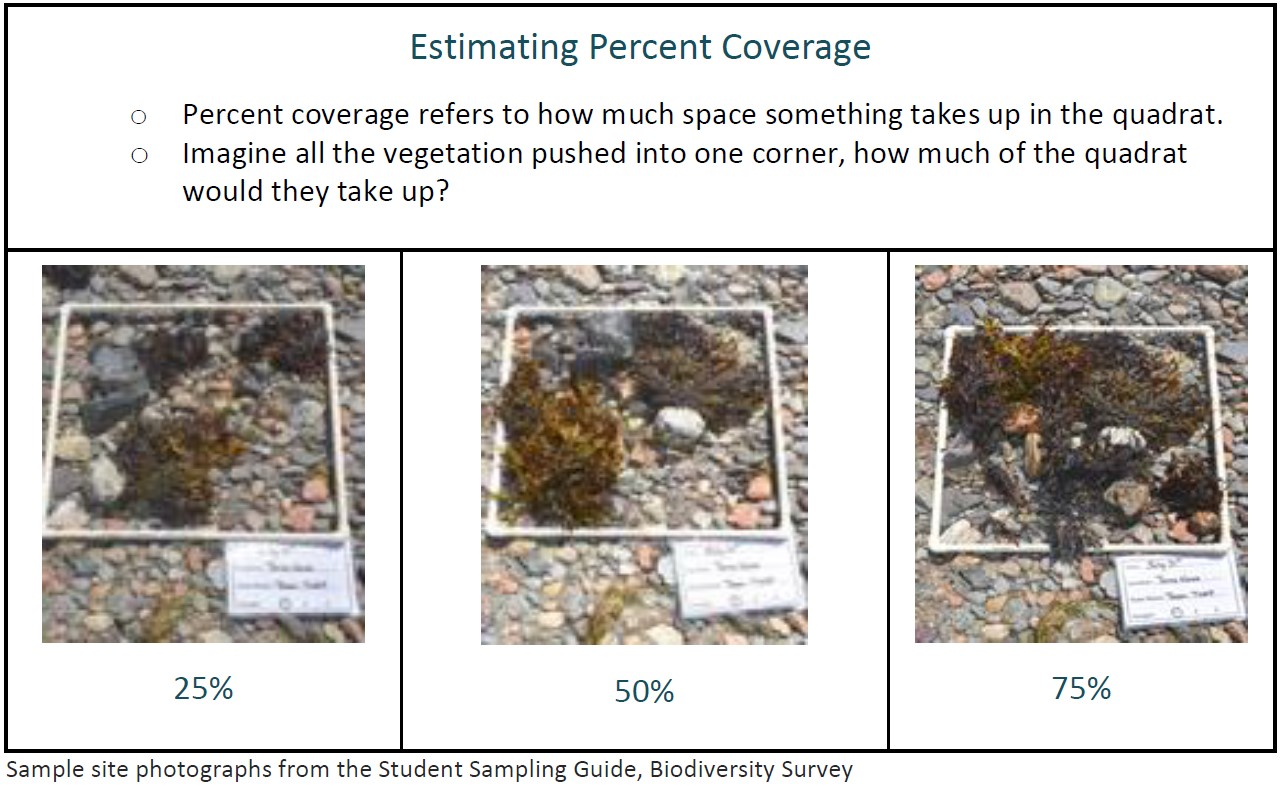 Estimate percentage coverage